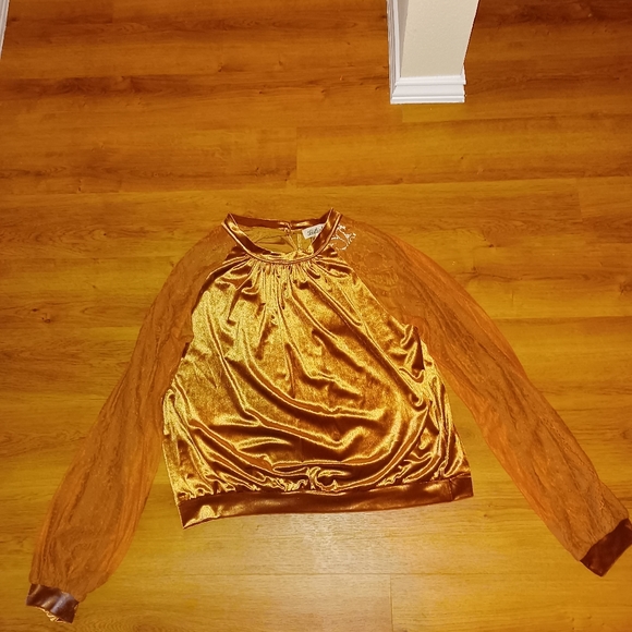 Velvet long sleeved lace sleeves.  The color is brick. - Picture 6 of 9